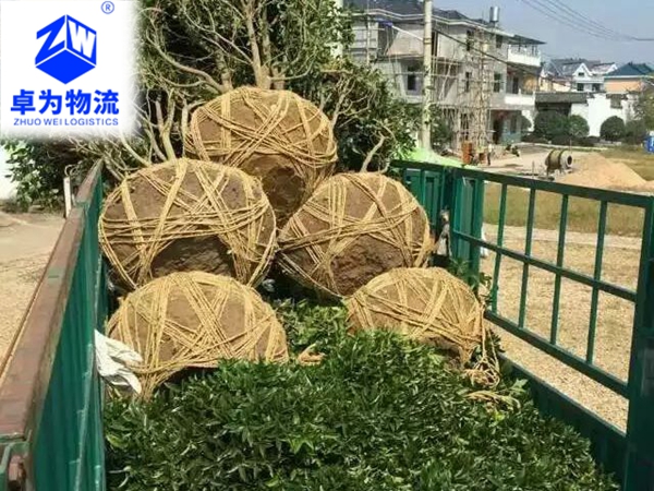 樹(shù)苗，樹(shù)木運輸案例